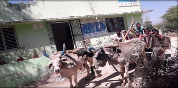 Bullock Cart Transporting patients at the THWC